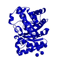 Image of CATH 1od8