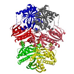 Image of CATH 1odi