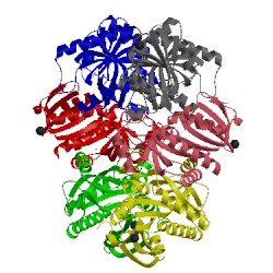 Image of CATH 1odl