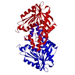 Image of CATH 1odt