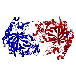 Image of CATH 1odz