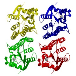 Image of CATH 1oe0