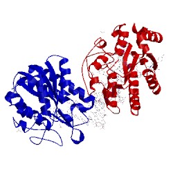 Image of CATH 1oe5