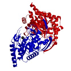 Image of CATH 1of8