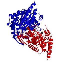 Image of CATH 1ofa