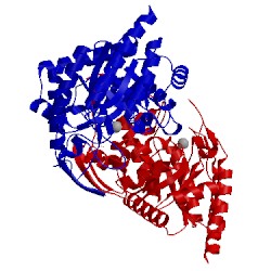 Image of CATH 1ofb