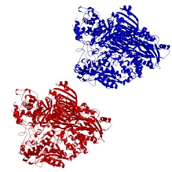 Image of CATH 1ofd