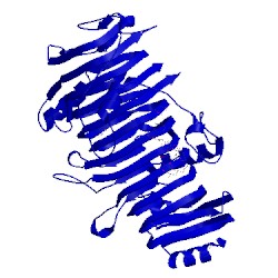 Image of CATH 1ofm