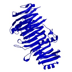 Image of CATH 1ofm