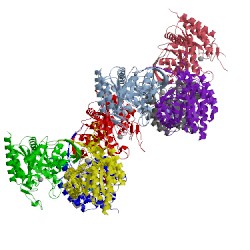 Image of CATH 1ofr