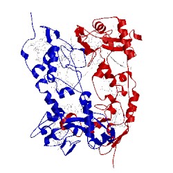 Image of CATH 1ofy