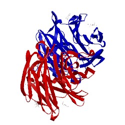 Image of CATH 1ofz