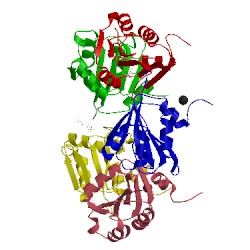 Image of CATH 1oge