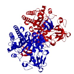 Image of CATH 1ogg