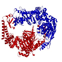 Image of CATH 1oh6