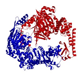 Image of CATH 1oh7