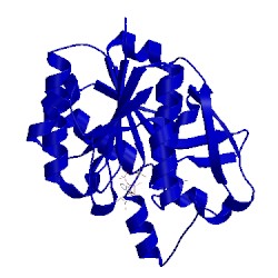 Image of CATH 1ohb