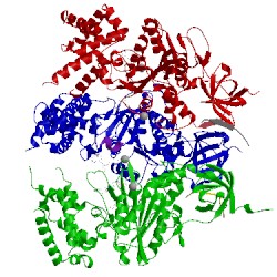 Image of CATH 1ohh