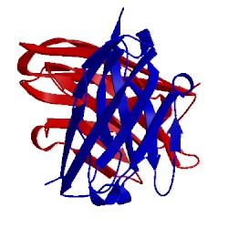 Image of CATH 1ohq