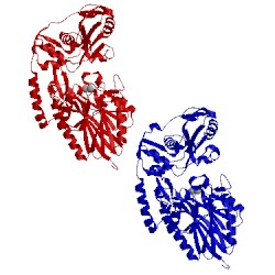 Image of CATH 1oi8