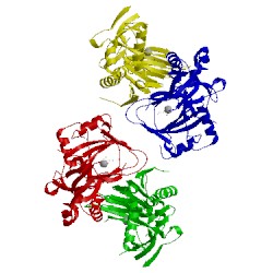 Image of CATH 1oii