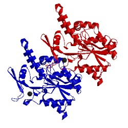 Image of CATH 1oil