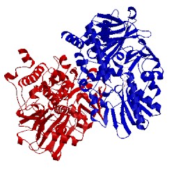 Image of CATH 1oja