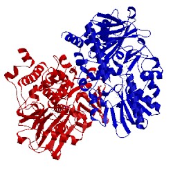 Image of CATH 1ojc