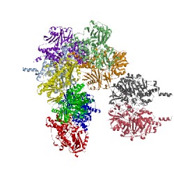 Image of CATH 1ojd