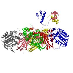 Image of CATH 1ojl