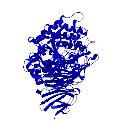 Image of CATH 1ojo