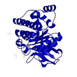 Image of CATH 1ojr