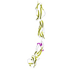 Image of CATH 1ojvB