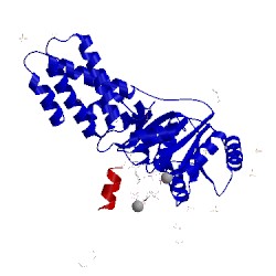 Image of CATH 1okk