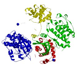 Image of CATH 1okv