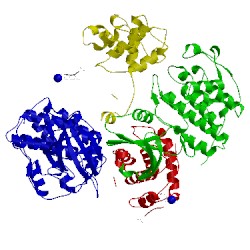 Image of CATH 1okw