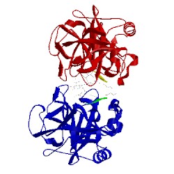 Image of CATH 1okx