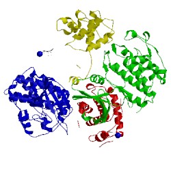 Image of CATH 1ol2