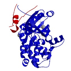 Image of CATH 1ol5