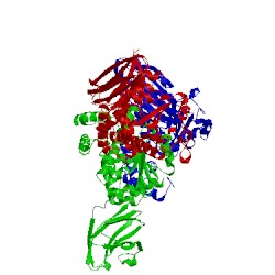 Image of CATH 1olm