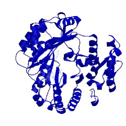 Image of CATH 1olt