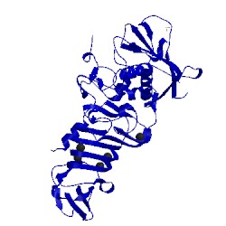 Image of CATH 1om7