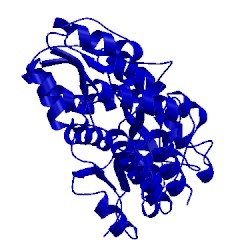 Image of CATH 1omp