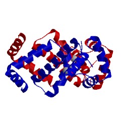 Image of CATH 1on1