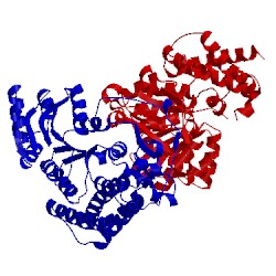 Image of CATH 1onn