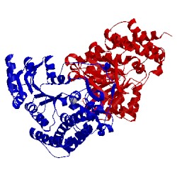 Image of CATH 1onp