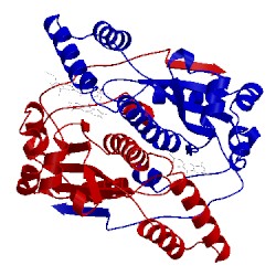 Image of CATH 1oon