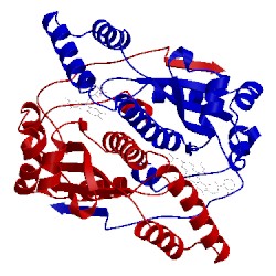 Image of CATH 1ooq