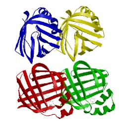 Image of CATH 1opb