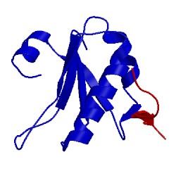 Image of CATH 1opi